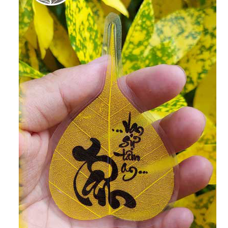 Lá Bồ Đề Vàng Ốp ĐT- Tâm